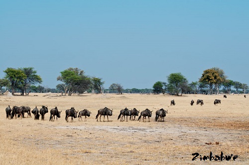 Gửi hàng hóa,chứng từ chuyển phát nhanh đi Zimbabwe